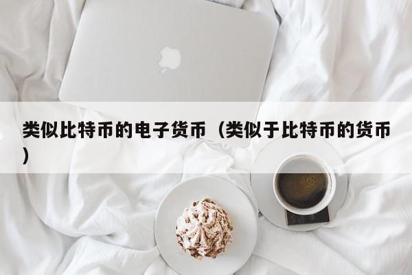 类似比特币的电子货币(类似于比特币的货币)