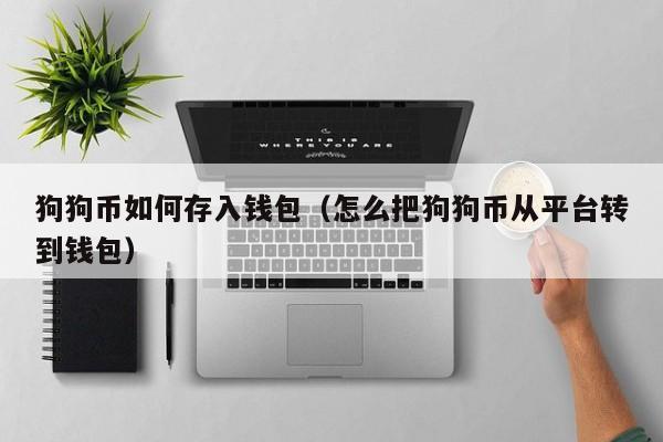狗狗币如何存入钱包(怎么把狗狗币从平台转到钱包)