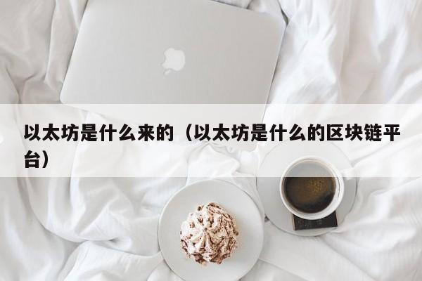 以太坊是什么来的(以太坊是什么的区块链平台)