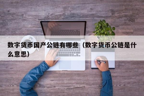 数字货币国产公链有哪些(数字货币公链是什么意思)