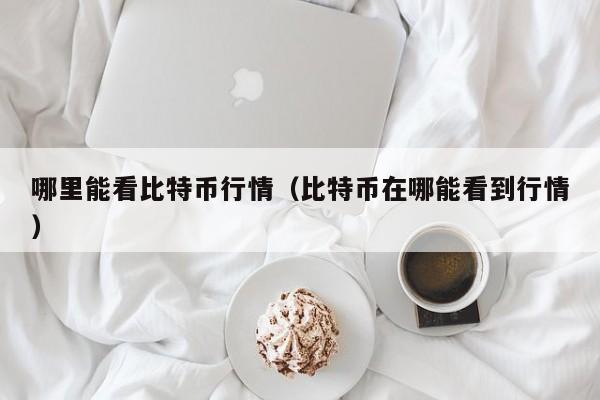 哪里能看比特币行情(比特币在哪能看到行情)