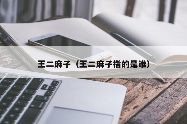 王二麻子(王二麻子指的是谁)
