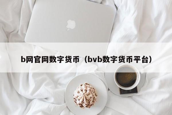 b网官网数字货币(bvb数字货币平台)