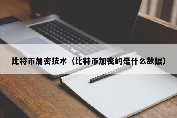 比特币加密技术(比特币加密的是什么数据)