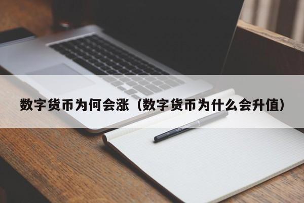 数字货币为何会涨(数字货币为什么会升值)