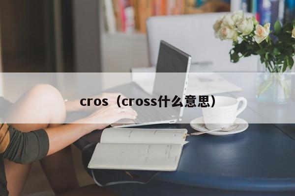 cros(cross什么意思)