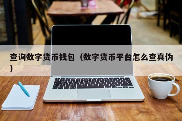 查询数字货币钱包(数字货币平台怎么查真伪)