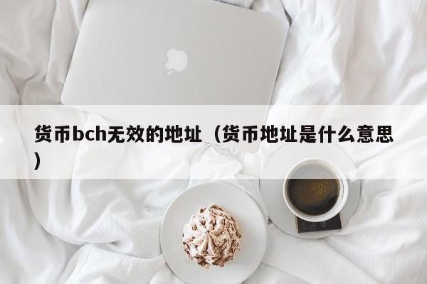 货币bch无效的地址(货币地址是什么意思)