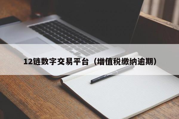12链数字交易平台(增值税缴纳逾期)